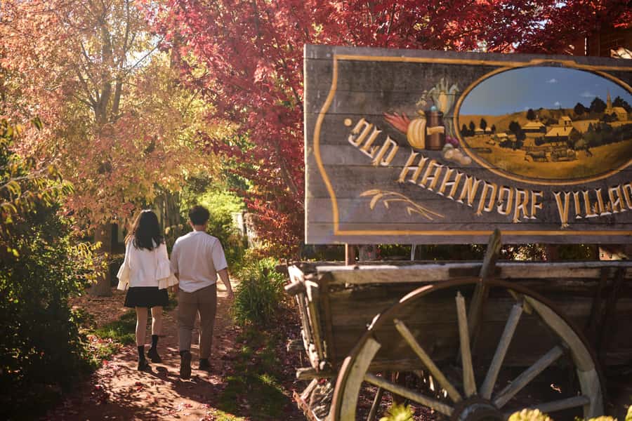 Adelaide: Highlights, Hahndorf & McLaren Vale Wine Tasting - Key points at a glance