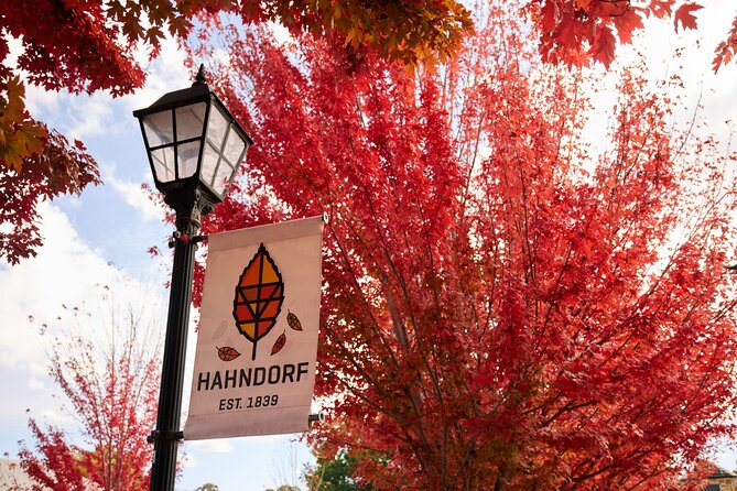 Adelaide Highlights, Hahndorf & McLaren Vale Wine Tasting and Sightseeing Tour - McLaren Vale and the first tasting at Chapel Hill