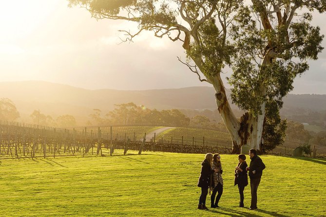Adelaide Hills & Hahndorf Hop-On Hop-Off Wine Tour - Key points to know before you go