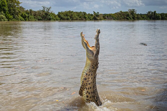 Adelaide River Cruises - Jumping Crocodile Experience - Key points to know before you go
