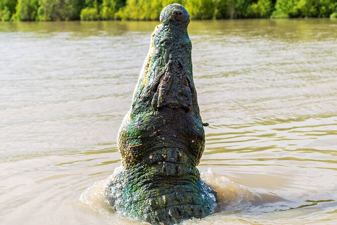 Adelaide River Cruises - Jumping Crocodile Experience - Reaching 1125 Anzac Parade from Darwin