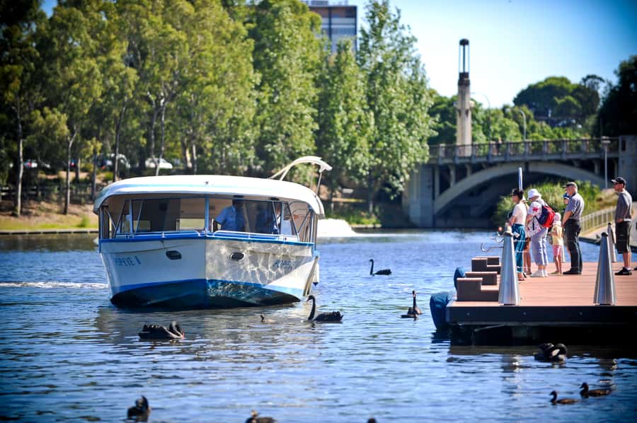 Adelaide: River Torrens Popeye Devonshire Tea Cruise - Key points to know before boarding