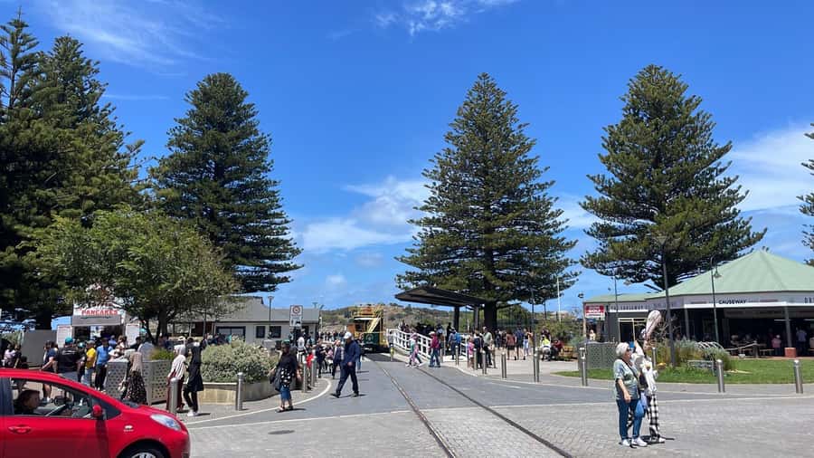 Adelaide: South Australia Guided Full-Day Highlights Tour - Victor Harbor and Granite Island: the day’s coastal heart