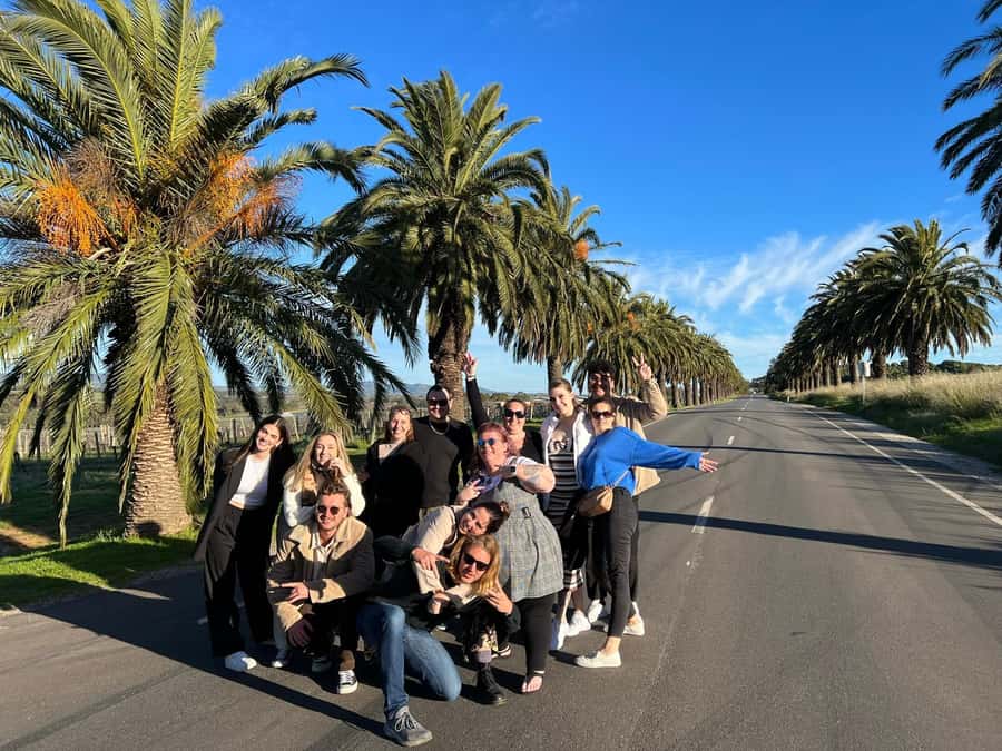 Adelaide: South Australia Guided Full-Day Highlights Tour - Mount Lofty Summit: a quick look over Adelaide