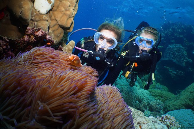 Adventure on a Budget Visit Kuranda or Palm Cove from Pt Douglas - Palm Cove’s short seaside pause