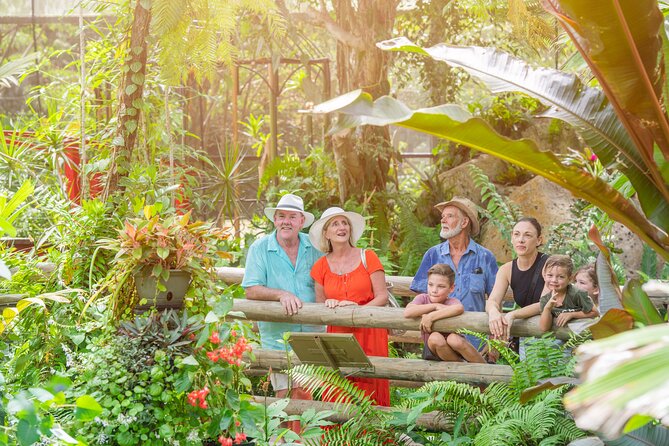 Adventure on a Budget Visit Kuranda or Palm Cove from Pt Douglas - Choosing between butterflies, birds, and koalas