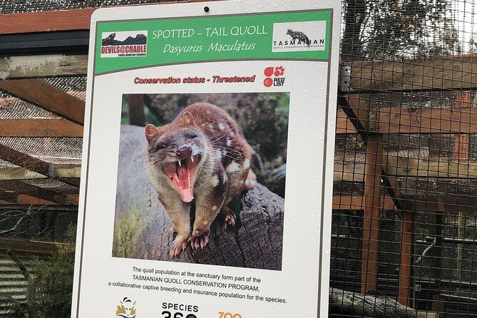 After Dark Tasmanian Devil Feeding Tour at Cradle Mountain - How the $30.48 price works for you