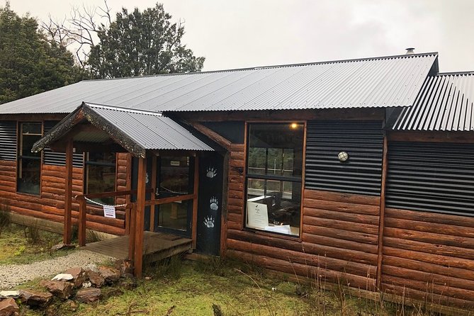 After Dark Tasmanian Devil Feeding Tour at Cradle Mountain - Cold weather, rain, and group size