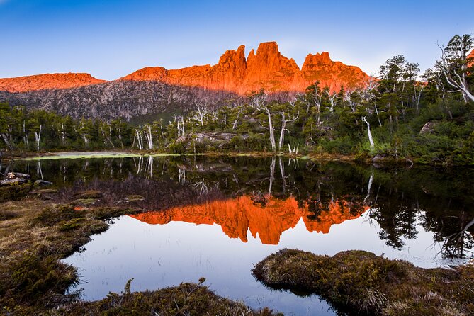 After Dark Tasmanian Devil Feeding Tour at Cradle Mountain - Who should book this tour