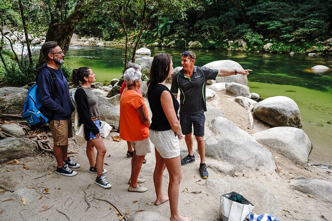 Afternoon Daintree Tour with River Cruise from Port Douglas - Two major sights in one Port Douglas afternoon