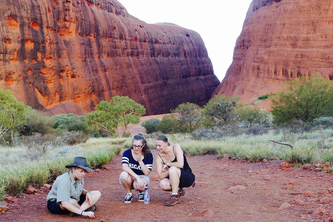 Afternoon Kata Tjuta Small Group Tour - Why Kata Tjuta deserves time beyond Uluru