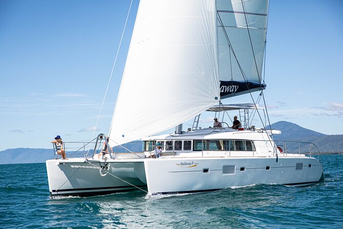 Afternoon Low Isles Snorkelling & Sunset Sail from Port Douglas - Reef conditions and realistic expectations