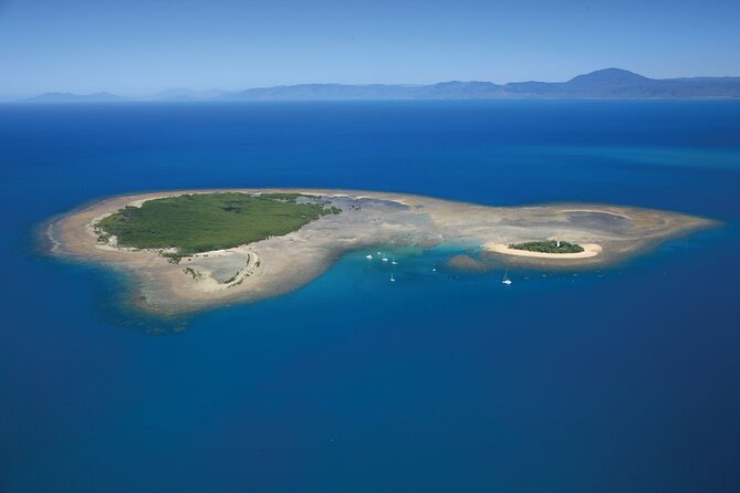 Afternoon Low Isles Snorkelling & Sunset Sail from Port Douglas - Food, drinks, and the return sail