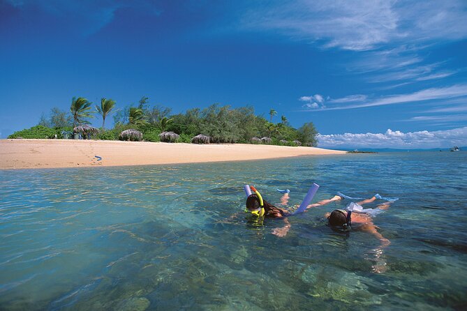 Afternoon Low Isles Snorkelling & Sunset Sail from Port Douglas - A small group makes a practical difference