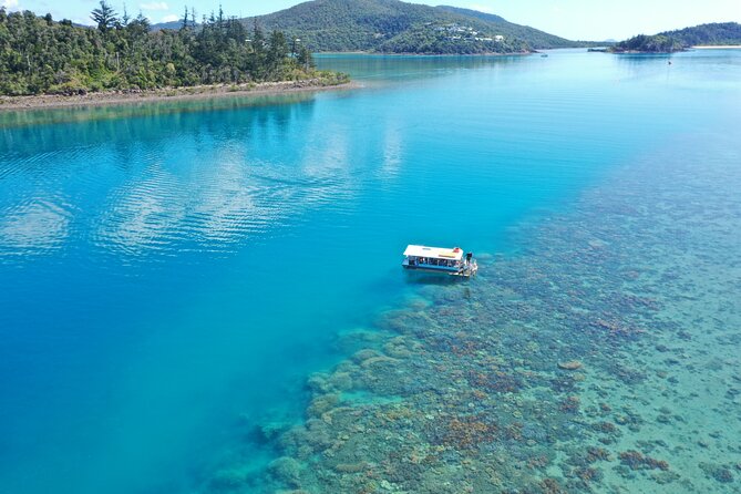 Airlie Beach Glass Bottom Boat Tour - Key things to know before you book