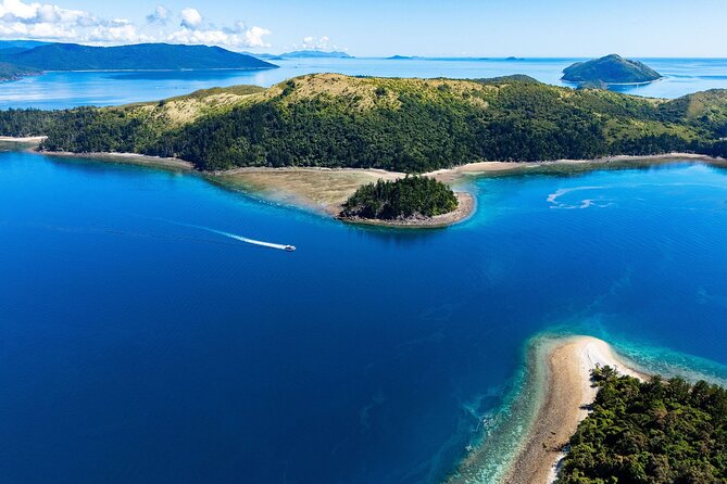 Airlie Beach Glass Bottom Boat Tour - Why the commentary matters