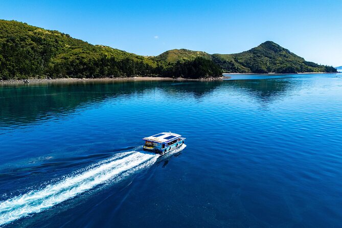 Airlie Beach Glass Bottom Boat Tour - Weather and water clarity can make or break it