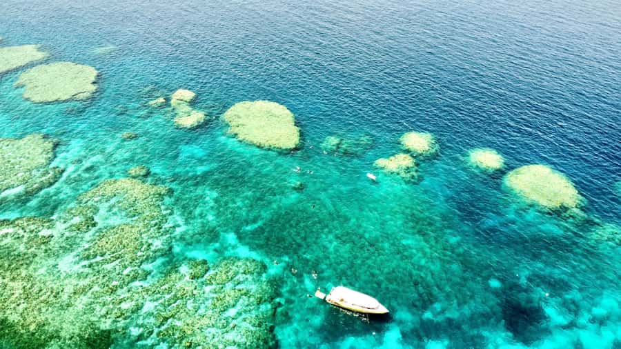 Airlie Beach: Great Barrier Reef & Whitehaven Beach Tour - Why this tour works so well in one busy day