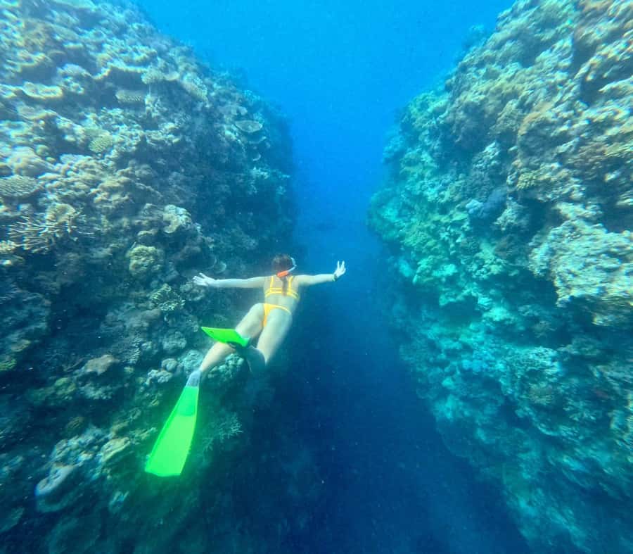 Airlie Beach: Great Barrier Reef & Whitehaven Beach Tour - Snorkeling at Bait Reef Lagoon or Stepping Stones