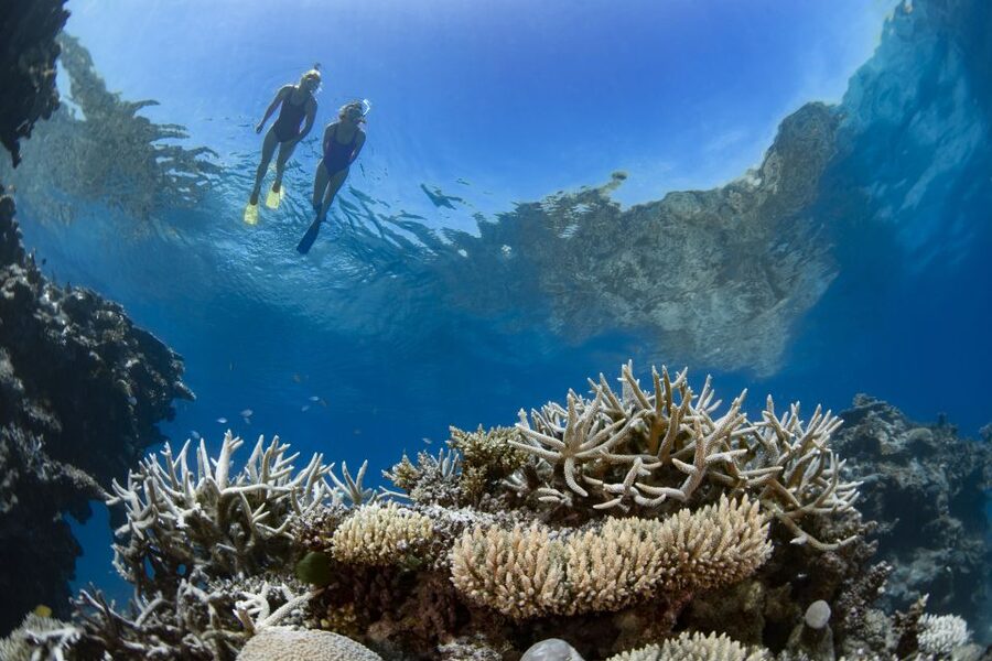 Airlie Beach: Great Barrier Reef & Whitehaven Beach Tour - The speedboat ride is both transport and attraction