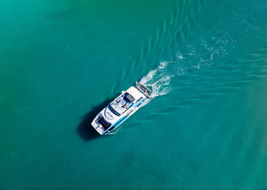 Airlie Beach: Hill Inlet Lookout and Whitehaven Beach Cruise - Should you book the SeaLink Purely Whitehaven tour?