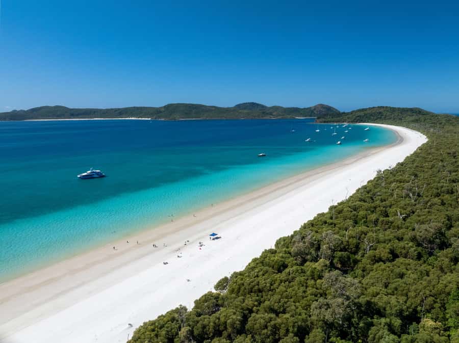 Airlie Beach: Hill Inlet Lookout and Whitehaven Beach Cruise - Is $156 good value?