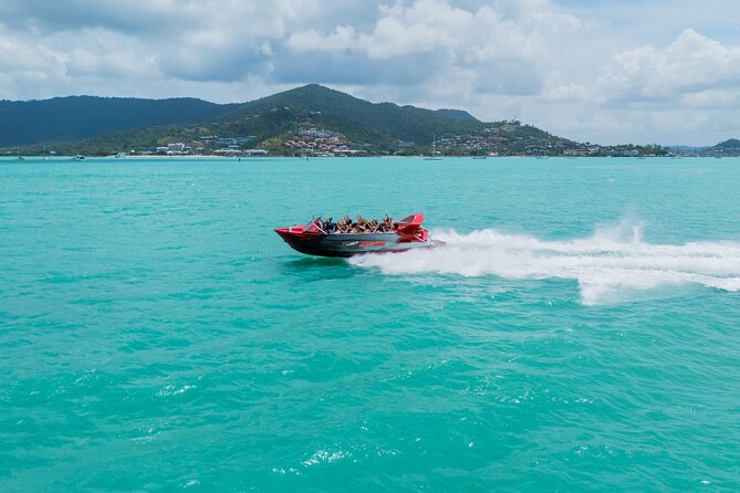 Airlie Beach Jet Boat Thrill Ride - Wildlife and views around Pioneer Bay