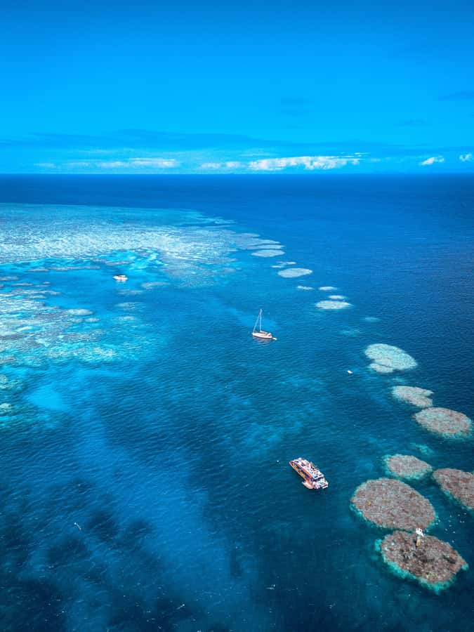 Airlie Beach: Outer Great Barrier Reef Snorkeling Day Trip - Crew support makes a real difference