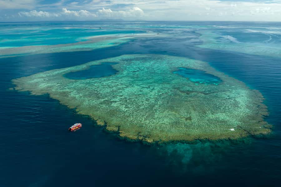 Airlie Beach: Outer Great Barrier Reef Snorkeling Day Trip - Lunch, snacks, and drinks onboard