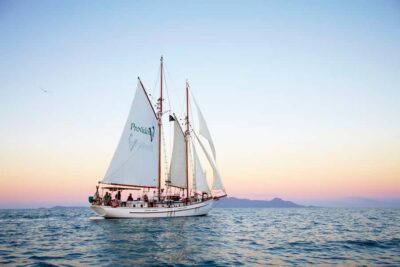 Providence Whitsundays Tallship Sunset Sail