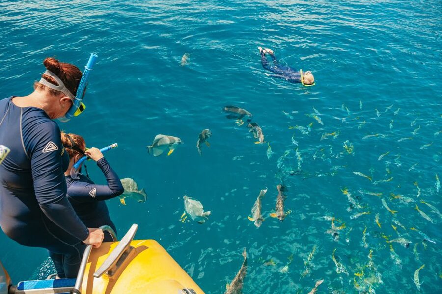 Airlie Beach: Snorkel, Hill Inlet Lookout & Whitehaven Beach - Who should book this Whitsunday day out?