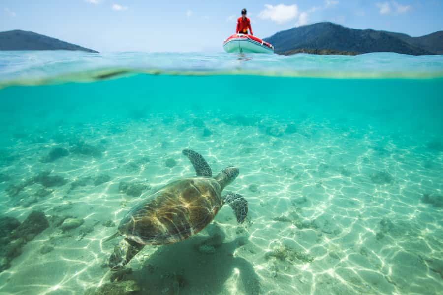 Airlie Beach: Whitehaven Full-Day Eco-Cruise with Buffet - Key points at a glance