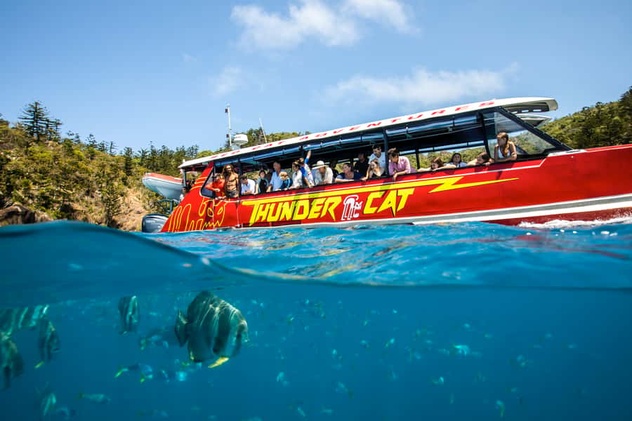 Airlie Beach: Whitehaven Full-Day Eco-Cruise with Buffet - A buffet lunch with surprisingly good coverage