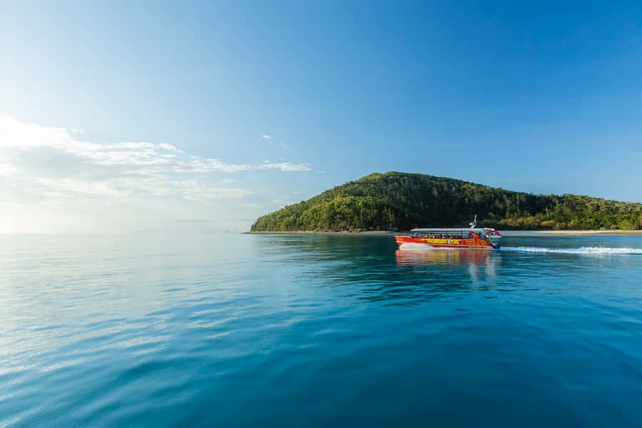 Airlie Beach: Whitehaven Full-Day Eco-Cruise with Buffet - What the $162 price really covers
