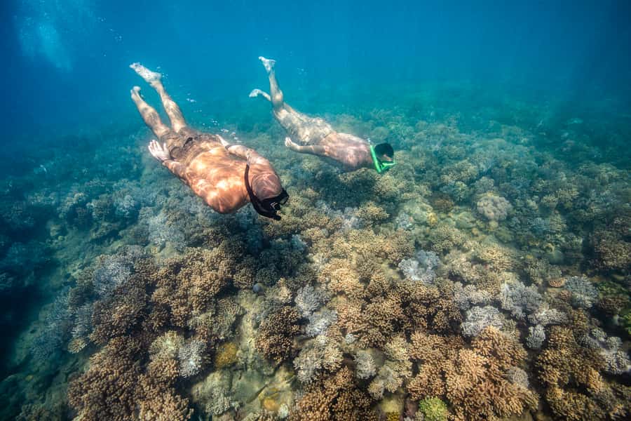 Airlie Beach: Whitehaven Full-Day Eco-Cruise with Buffet - Who should book this Whitehaven cruise?