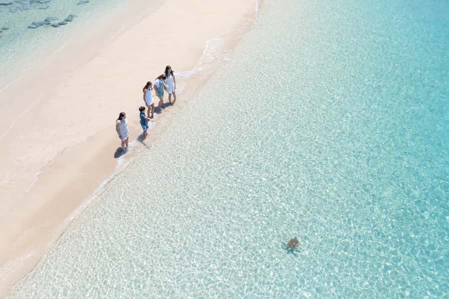 Airlie Beach: Whitehaven Full-Day Eco-Cruise with Buffet - Should you book the Red Cat Whitehaven eco-cruise?