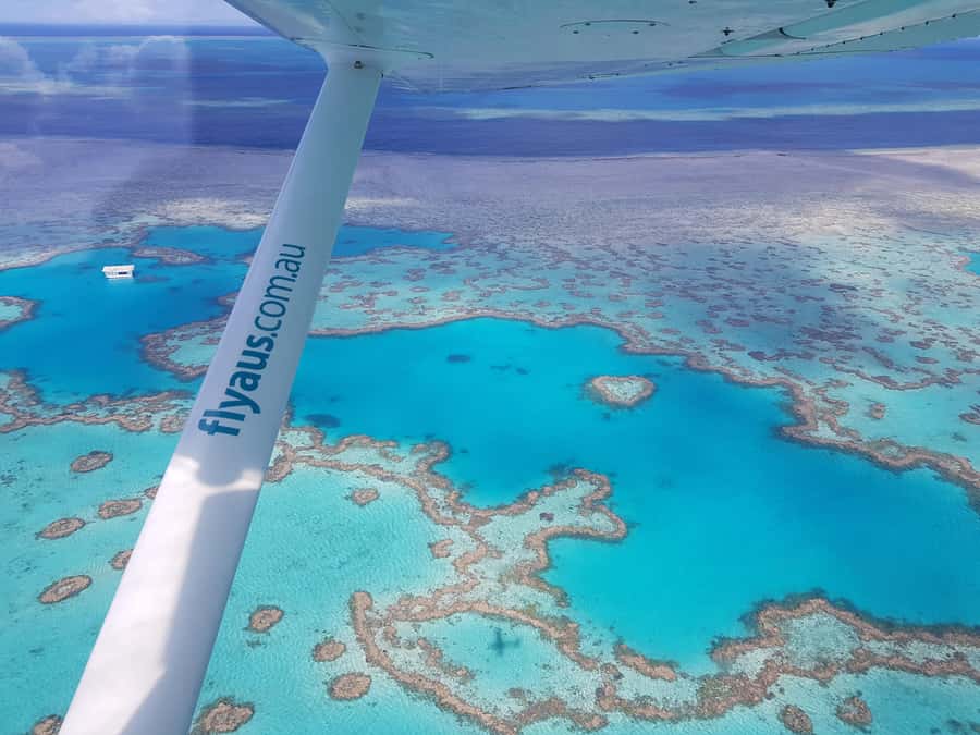 Airlie Beach: Whitsunday Islands & Heart Reef Scenic Flight - Key points at a glance