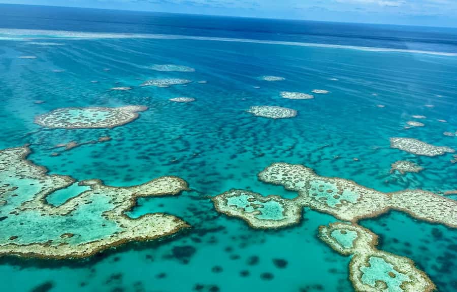 Airlie Beach: Whitsundays & Great Barrier Reef Scenic Flight - Why an aerial view changes the Whitsundays