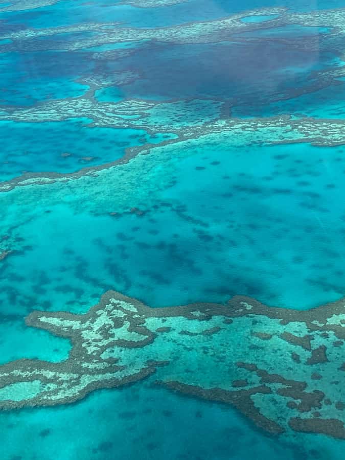 Airlie Beach: Whitsundays & Great Barrier Reef Scenic Flight - Conway National Park and Airlie Beach below