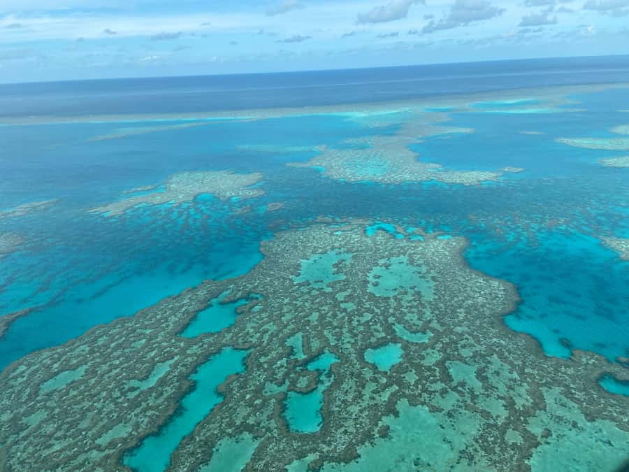 Airlie Beach: Whitsundays & Great Barrier Reef Scenic Flight - Heart Reef and the Great Barrier Reef