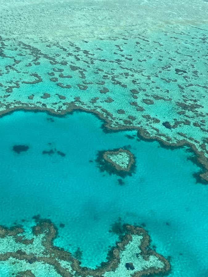 Airlie Beach: Whitsundays & Great Barrier Reef Scenic Flight - Who will enjoy this flight most?