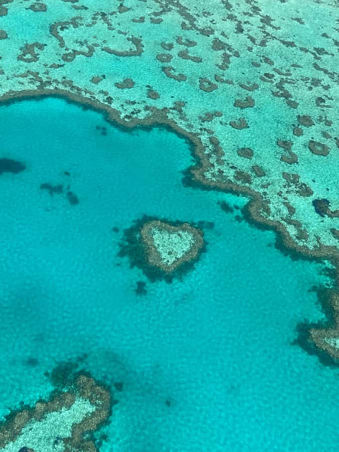 Airlie Beach: Whitsundays & Great Barrier Reef Scenic Flight - The transfer from Airlie Beach to the airport