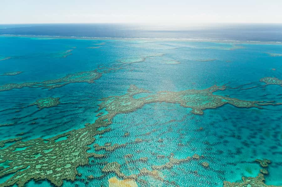 Airlie Beach: Whitsundays & Heart Reef Scenic Flight - Who should book this flight?