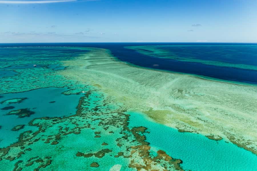 Airlie Beach: Whitsundays & Heart Reef Scenic Flight - Waiting at Whitsunday Airport