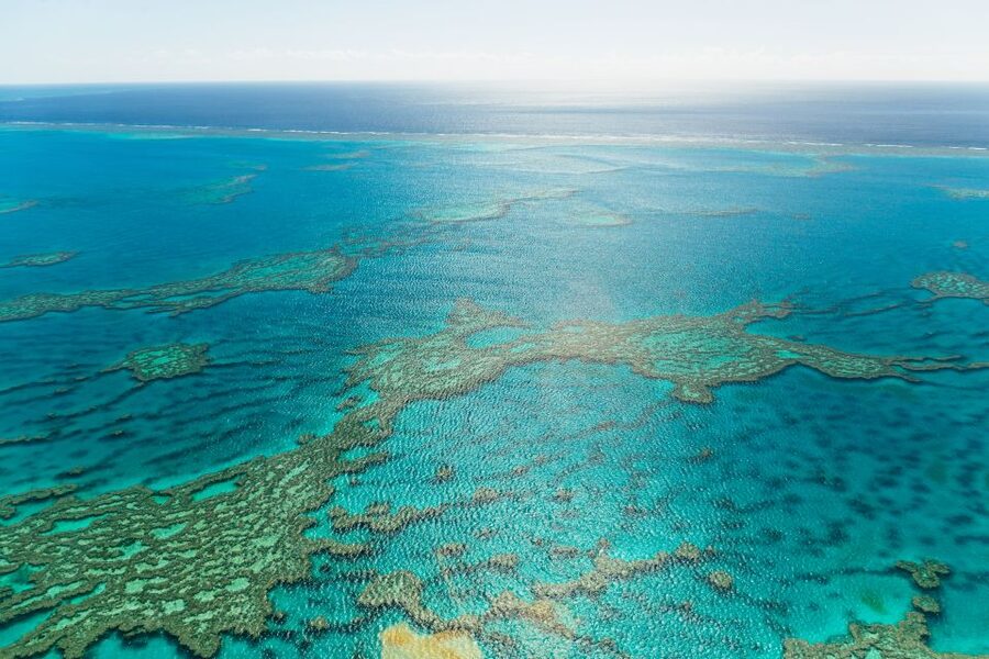 Airlie Beach: Whitsundays & Heart Reef Scenic Flight - Is $237 a fair price?
