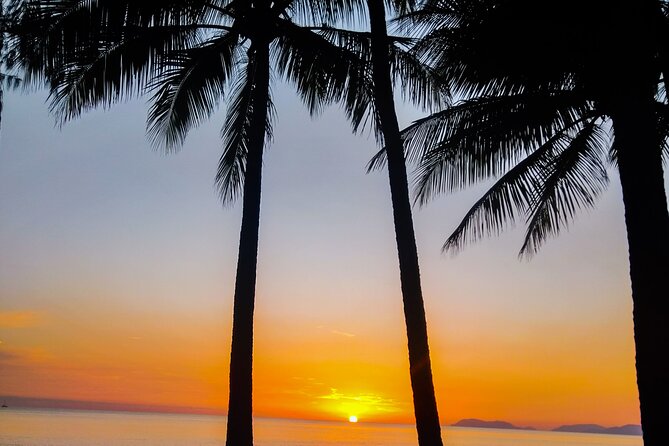 Airport Transfers between Cairns Airport and Cairns City - The shared ride from the airport to your hotel