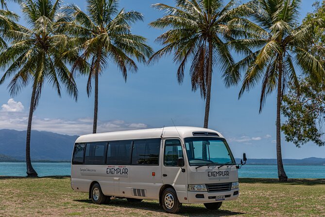 Airport Transfers between Cairns Airport and Port Douglas - Key points at a glance