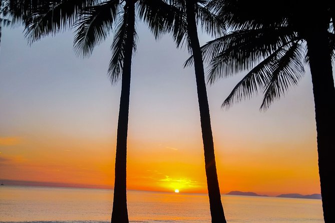 Airport Transfers between Cairns Airport and Port Douglas - What the service does best
