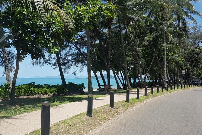 Airport Transfers between Cairns Airport and Port Douglas - Who should book this transfer?