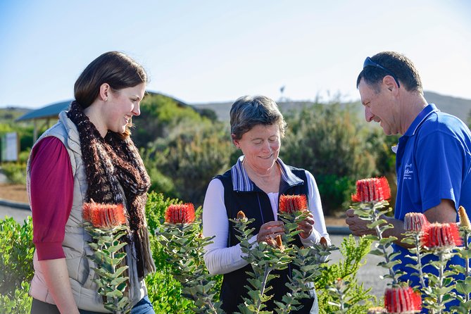Albany's Historic Whaling Station Admission Ticket - A café, bay views, and the flower garden